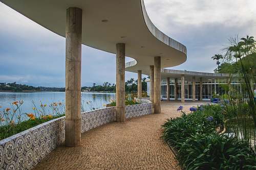 belo horizonte purple petaled flowers near pathway viewing blue sea flooring